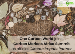 One-Carbon-World-joins-Carbon-Markets-Africa-Summit-as-official-Climate-Impact-Partner-2.png